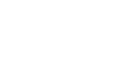 client-logo-flyace